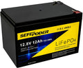 12V 12Ah LiFePO4 Deep Cycle Rechargeable Battery D51913