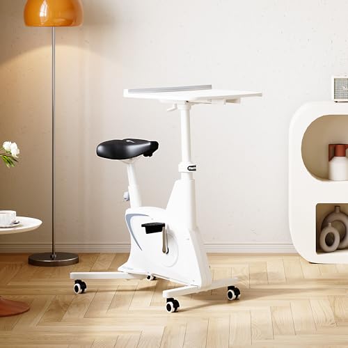 Exercise Bike with Adjustable Resistance and LCD Display Z567