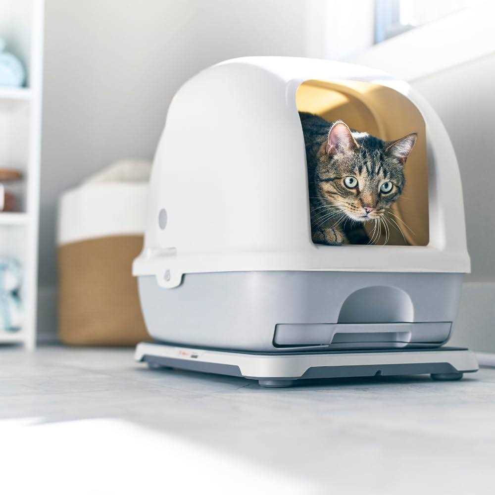 Smart Litterbox Monitor System K261562