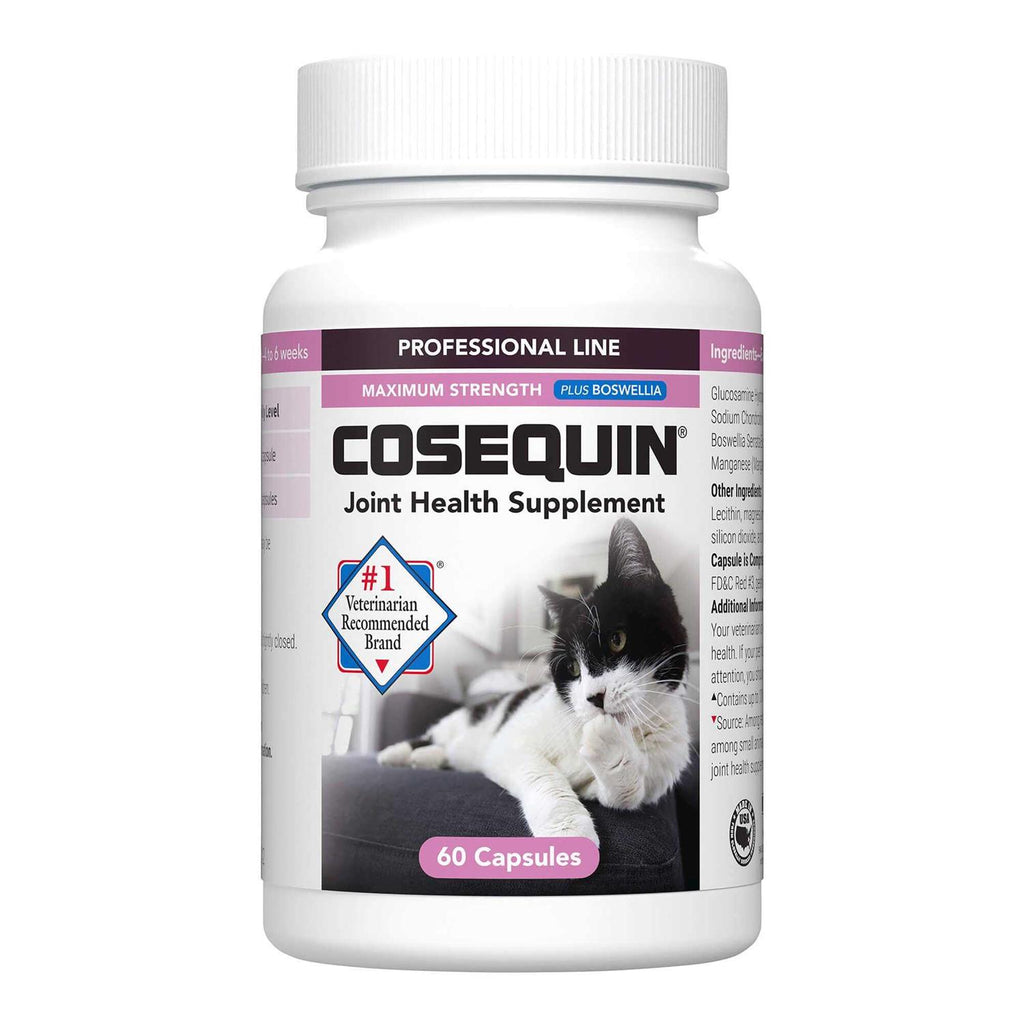 Maximum Strength Joint Health Cat Supplement S522