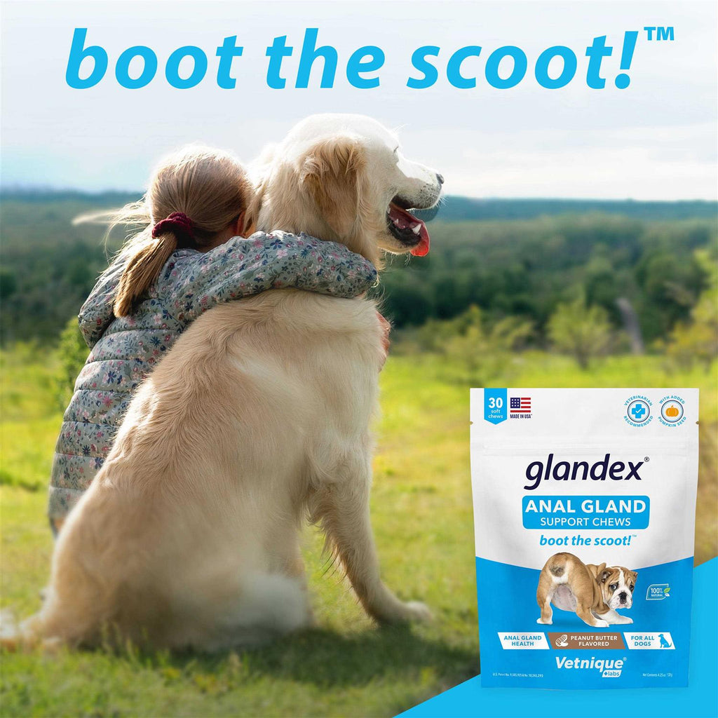 Anal Gland Soft Chews Supplement for Dogs C468849