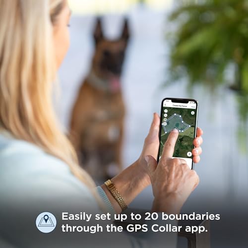 GPS Dog Fence & Tracking Collar Bundle with Training Flags & Treat Bag W9145