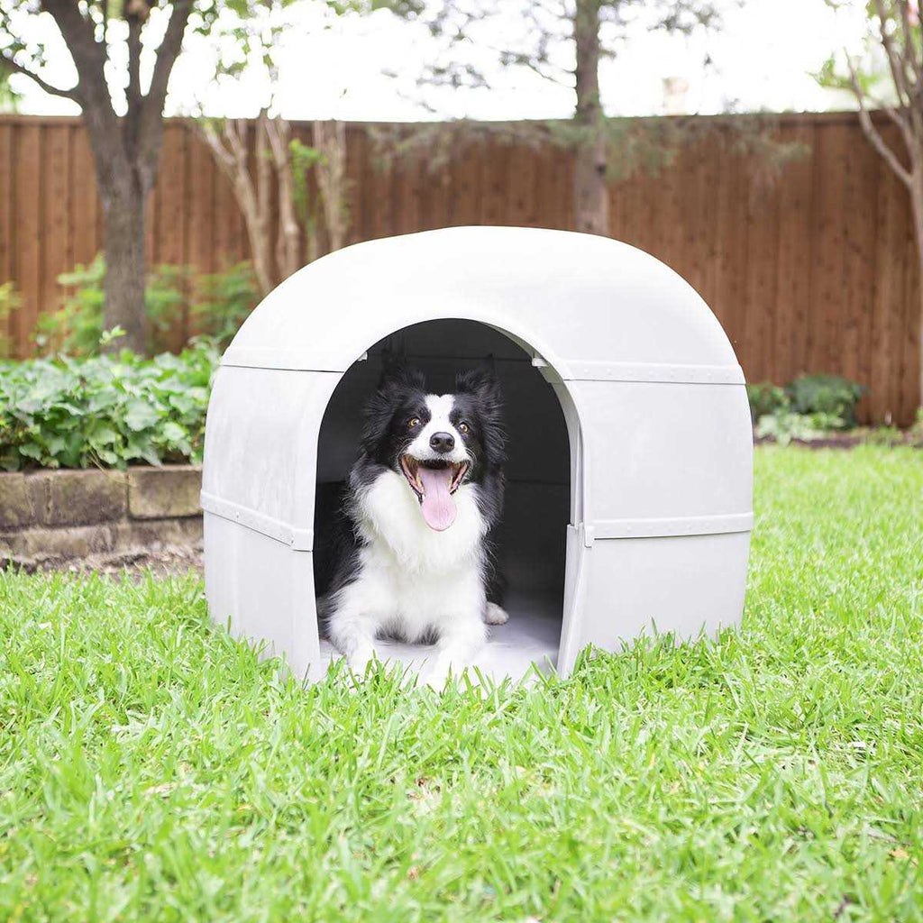 Dog House U845168