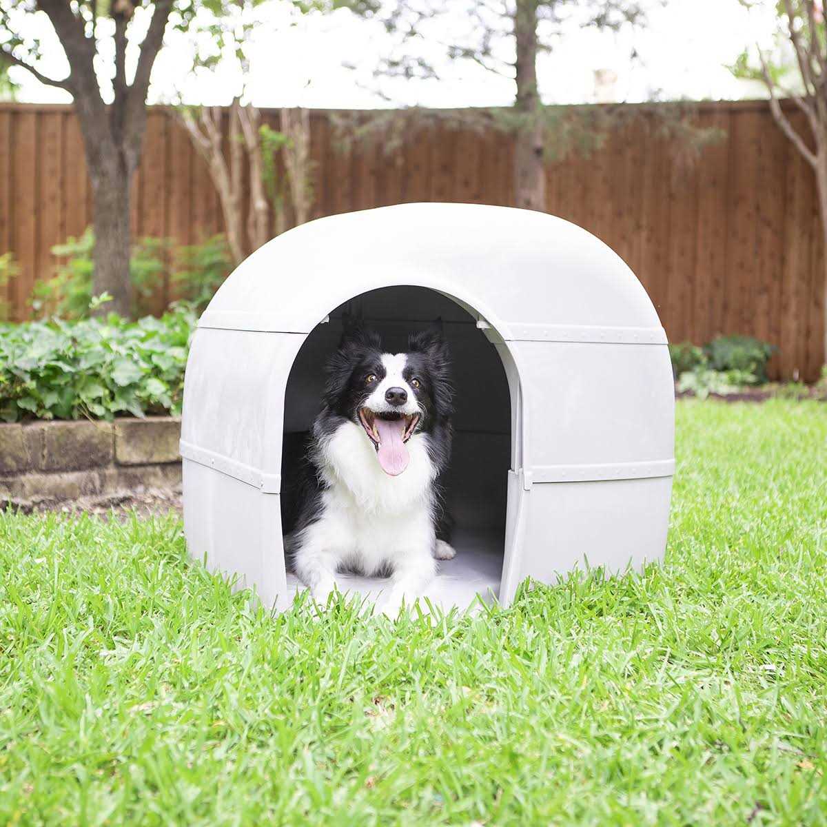 Dog House U845168