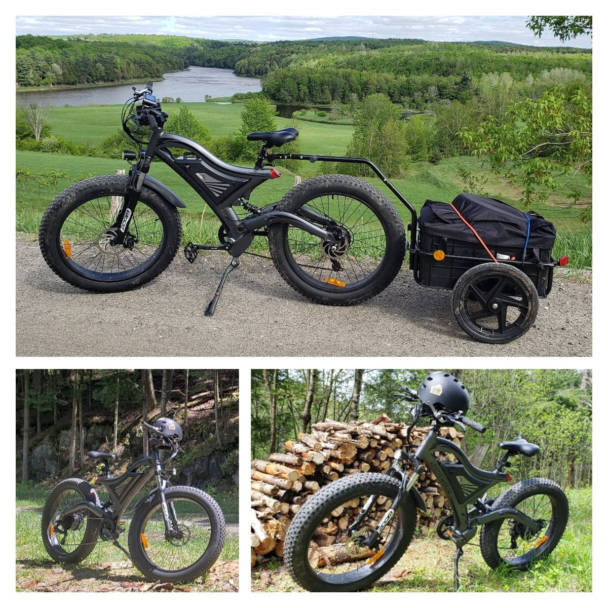 750W 48V 15Ah Fat Tire Electric Mountain Bike S840