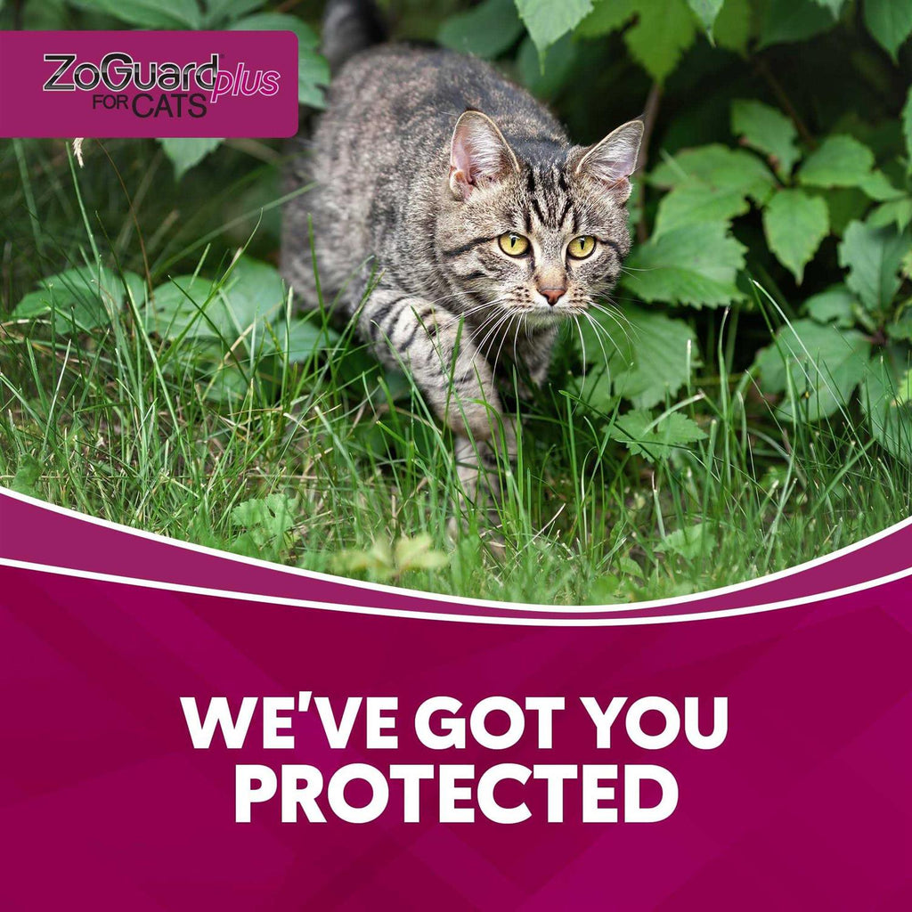 Cat Pet Supplies A402