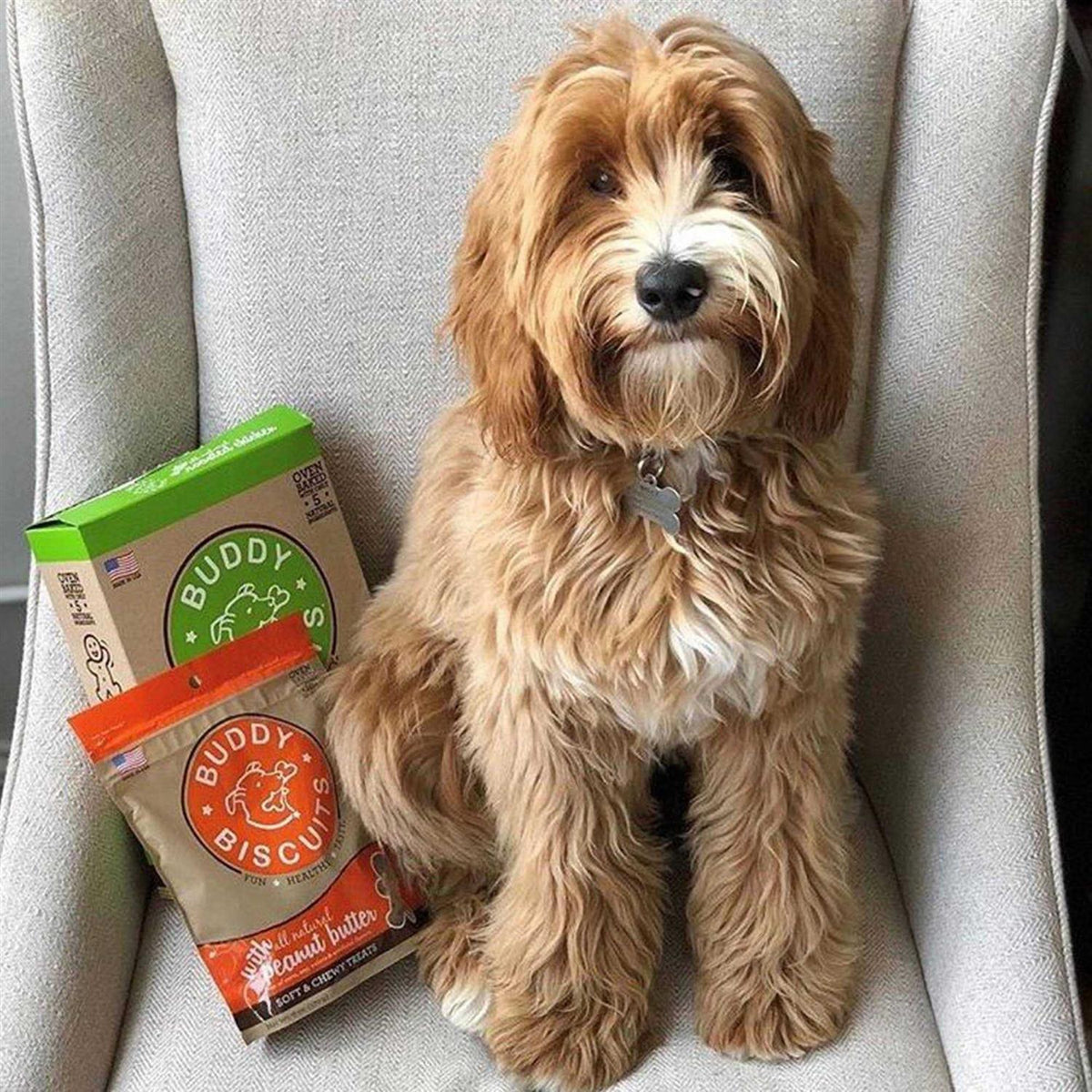 Peanut Butter Soft and Chewy Dog Treats Y681724