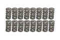 .700x22 Dual Valve Springs N73029
