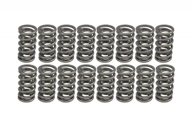 .700x22 Dual Valve Springs N73029