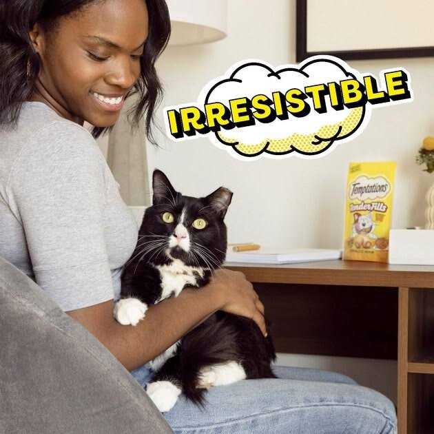 Adult Cat Treats Y52164