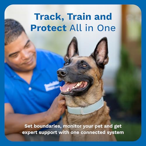 GPS Dog Fence & Tracking Collar Bundle with Training Flags & Treat Bag W9145