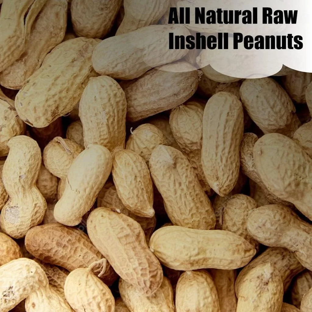 In-Shell Peanuts 25 lbs U996