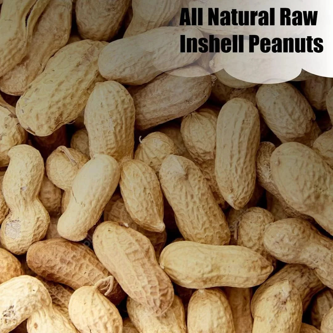 In-Shell Peanuts 25 lbs U996