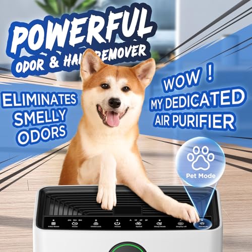 Air Purifier with Washable Filter, PM 2.5 Display N4868