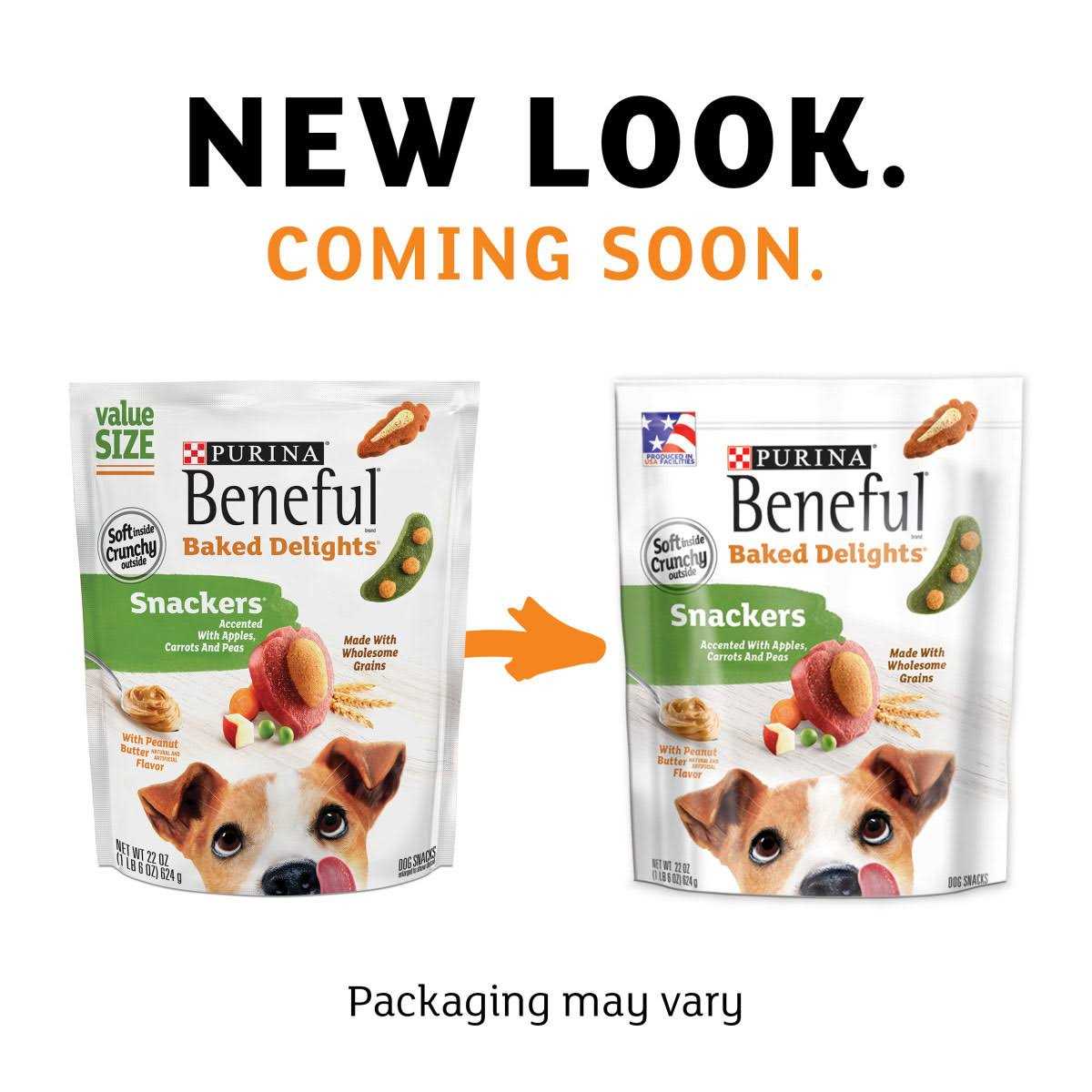 Dog Treats K98870