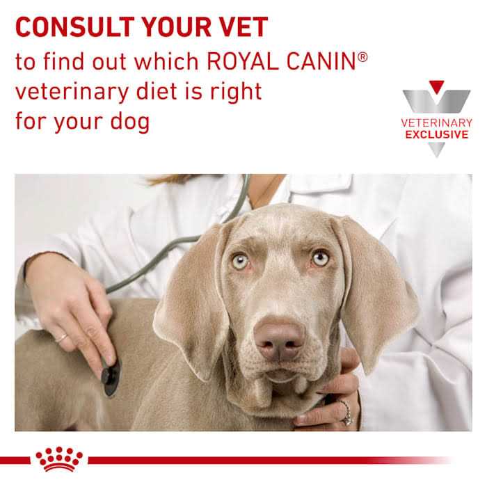 Selected Protein Adult Dry Dog Food J75807