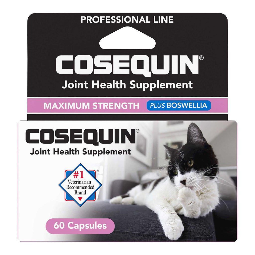 Maximum Strength Joint Health Cat Supplement S522