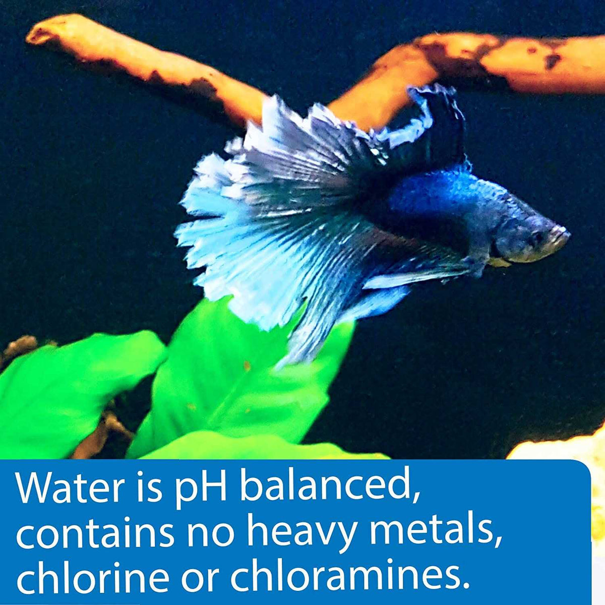 Betta Water T733