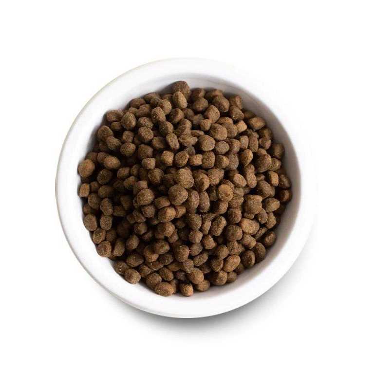 Premium Recipe Pet Supplies R694