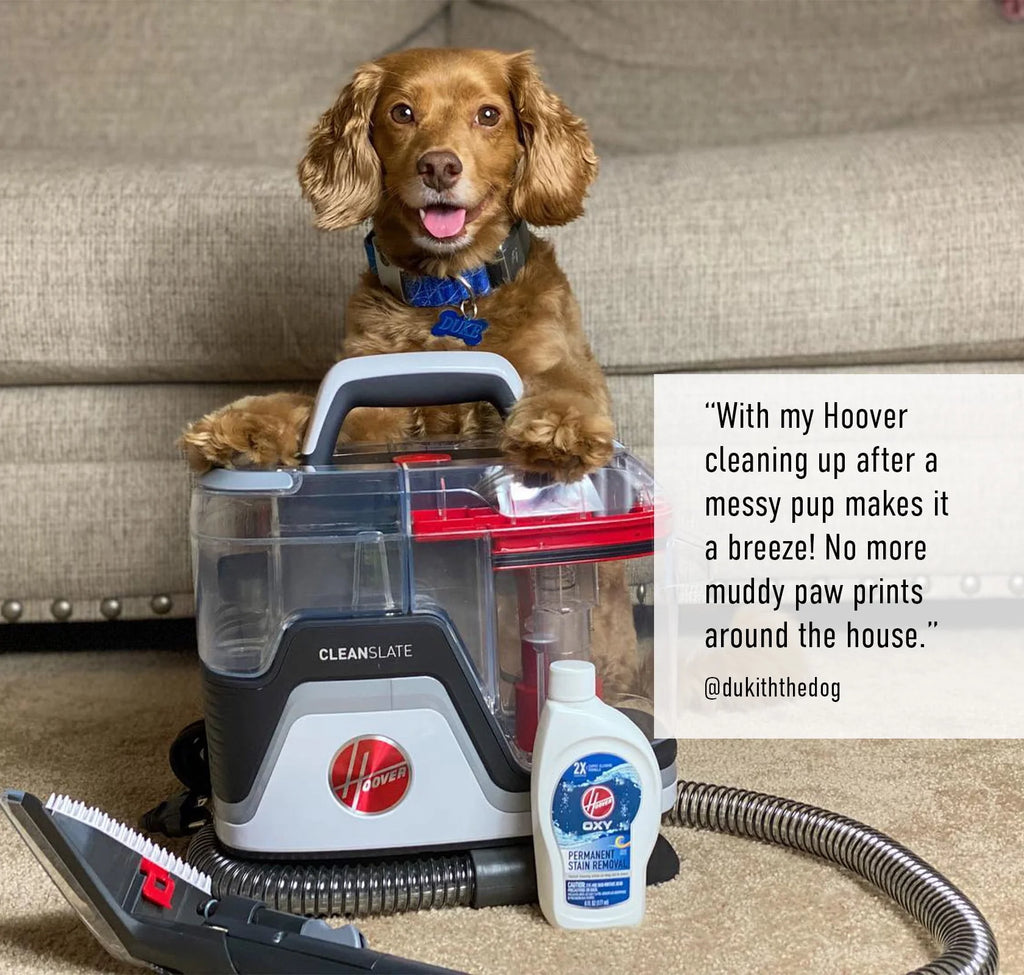 Portable Carpet and Upholstery Spot Cleaner N734651