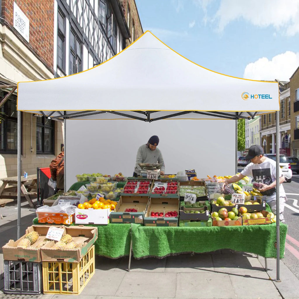10x10 Pop Up Canopy with 4 Removable Sidewalls and Carry Bag F77854