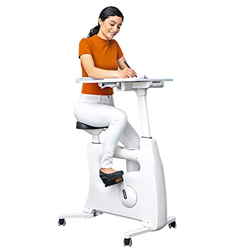 Exercise Bike with Adjustable Resistance and LCD Display Z567