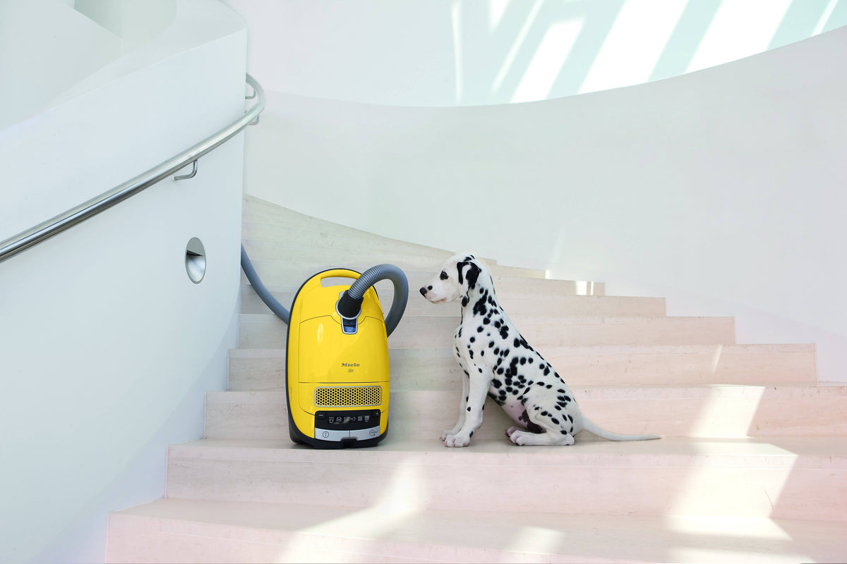 Complete C3 Canister Vacuum X340445