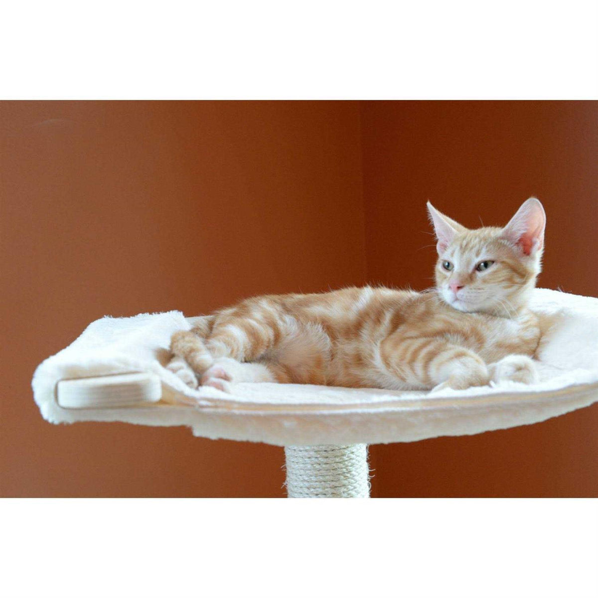 54-Inch Three Levels Cat Tree B621