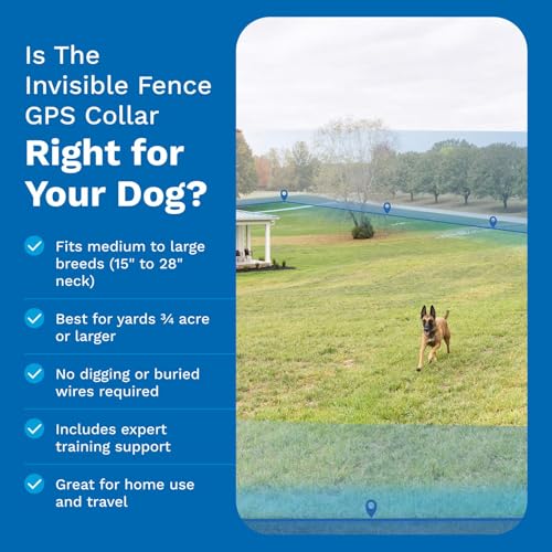 GPS Dog Fence & Tracking Collar Bundle with Training Flags & Treat Bag W9145
