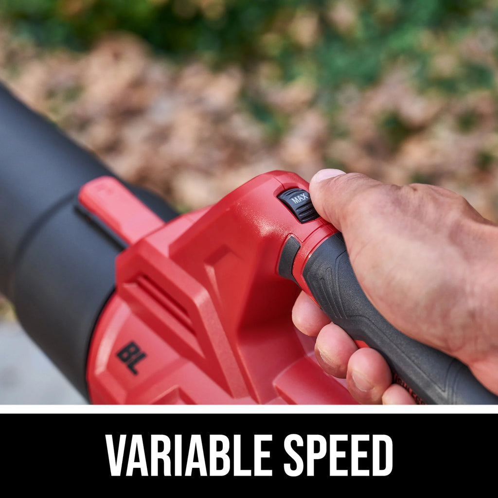 20V Brushless String Trimmer & Leaf Blower Combo Kit A527