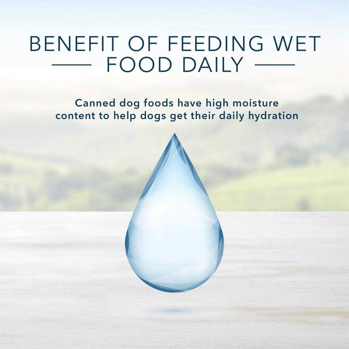 Chicken Dinner Wet Dog Food U7934
