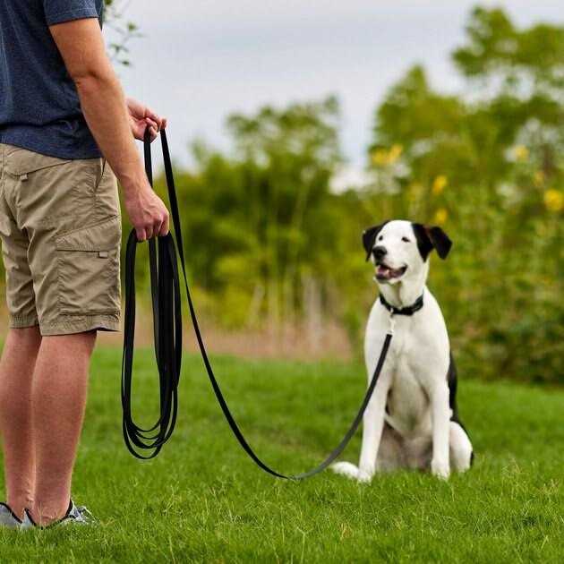 Training Leash S1643