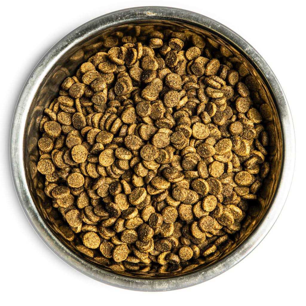 Dry Dog Food E217519