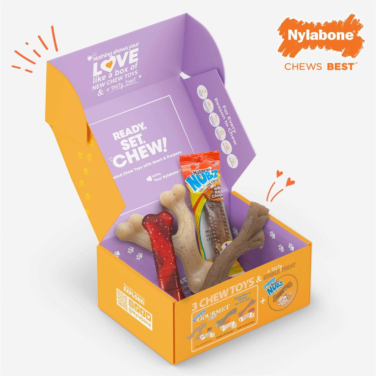 Chew Toy & Treat Gift Box J898