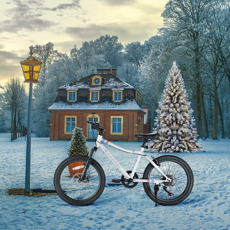 20in 7-Speed Kids Mountain Bike White E21963