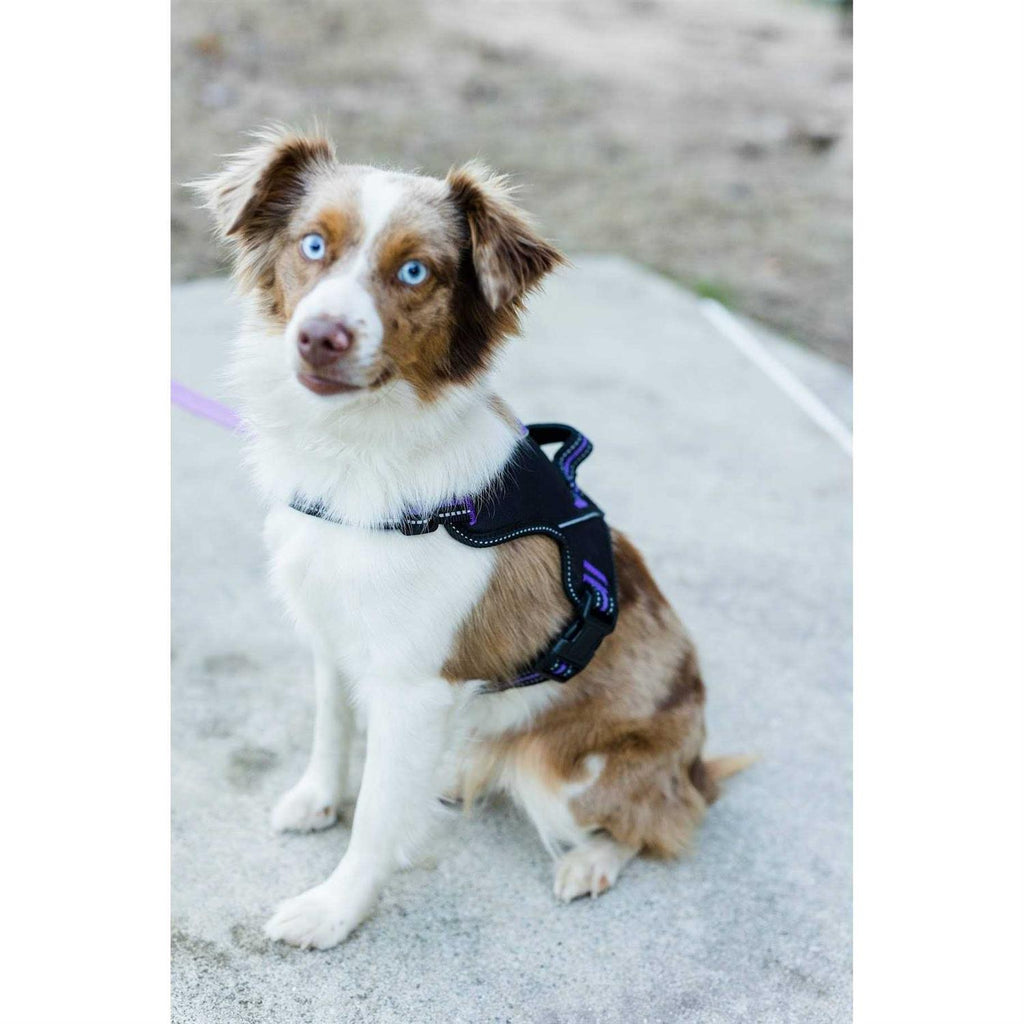 Patented Hart Harness W652