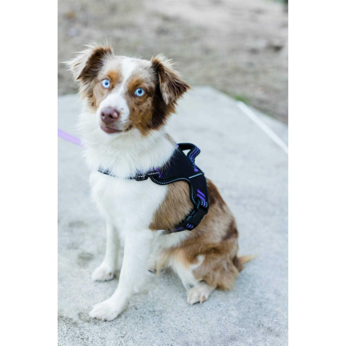Patented Hart Harness W652