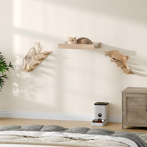 Wood Wall Mounted Cat Wall Shelves Set of 2 X837