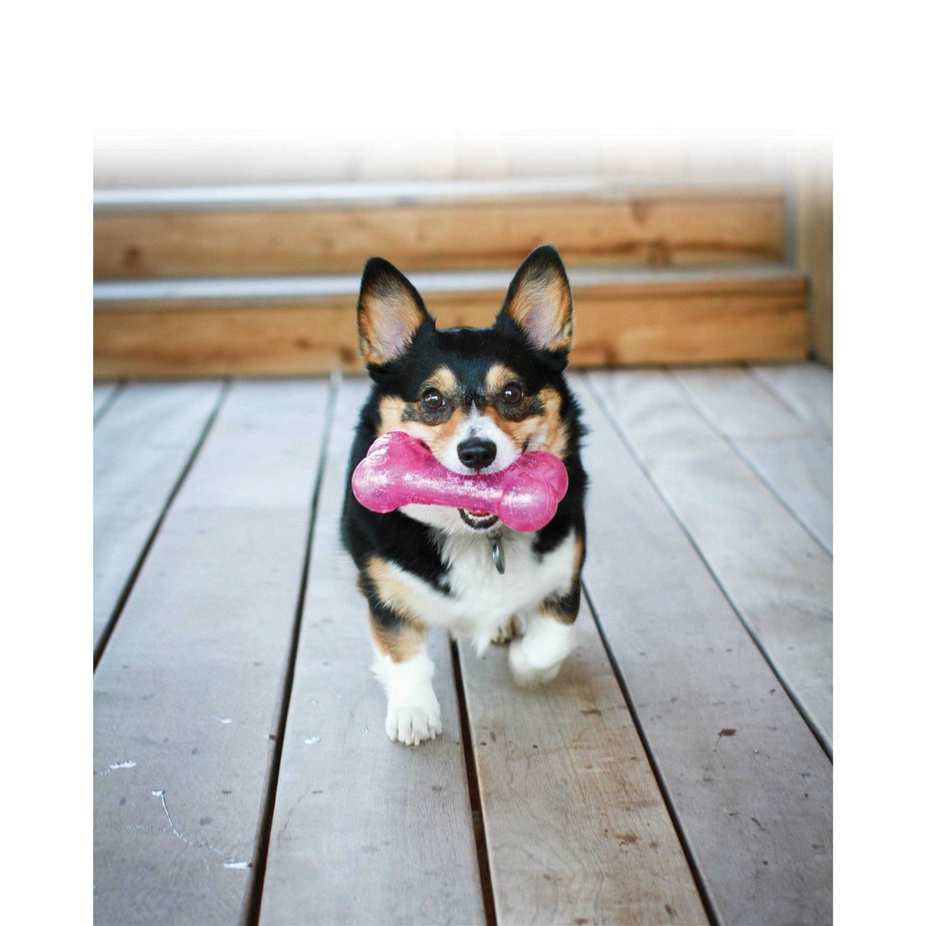 Dog Bone A23453
