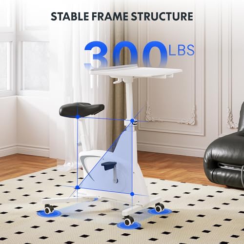 Exercise Bike with Adjustable Resistance and LCD Display Z567