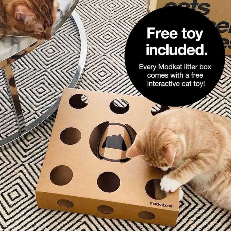 Litter Box X568