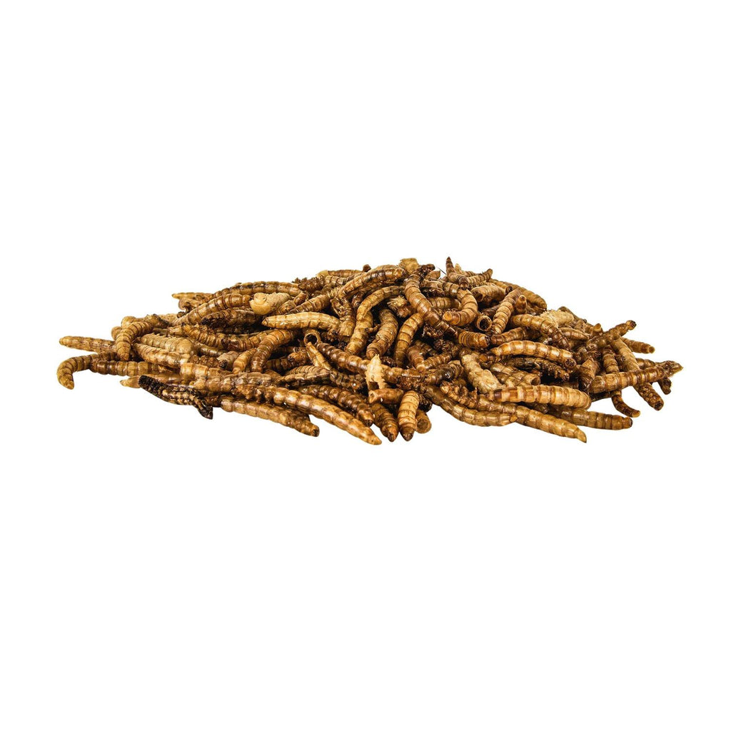 Mealworms Wild Bird Food K442960