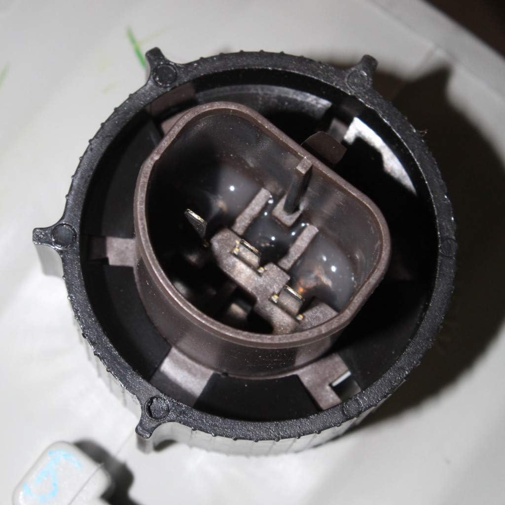 Headlight Assembly Passenger Side Halogen M848