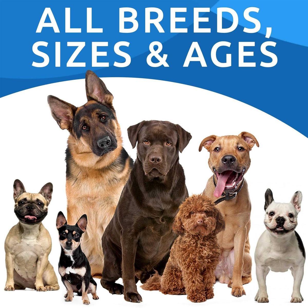 Probiotics For Dogs T810035