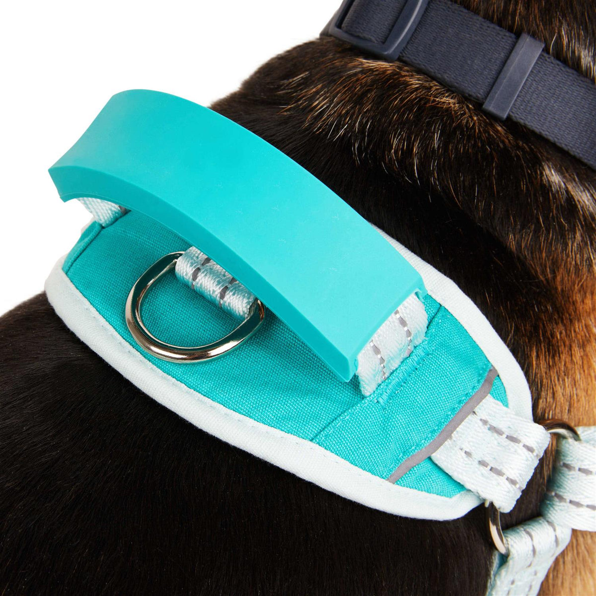 Easy On Training Dog Harness B651994