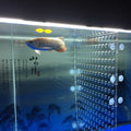 Acrylic Divider Isolation Board with Suction Cups K555437