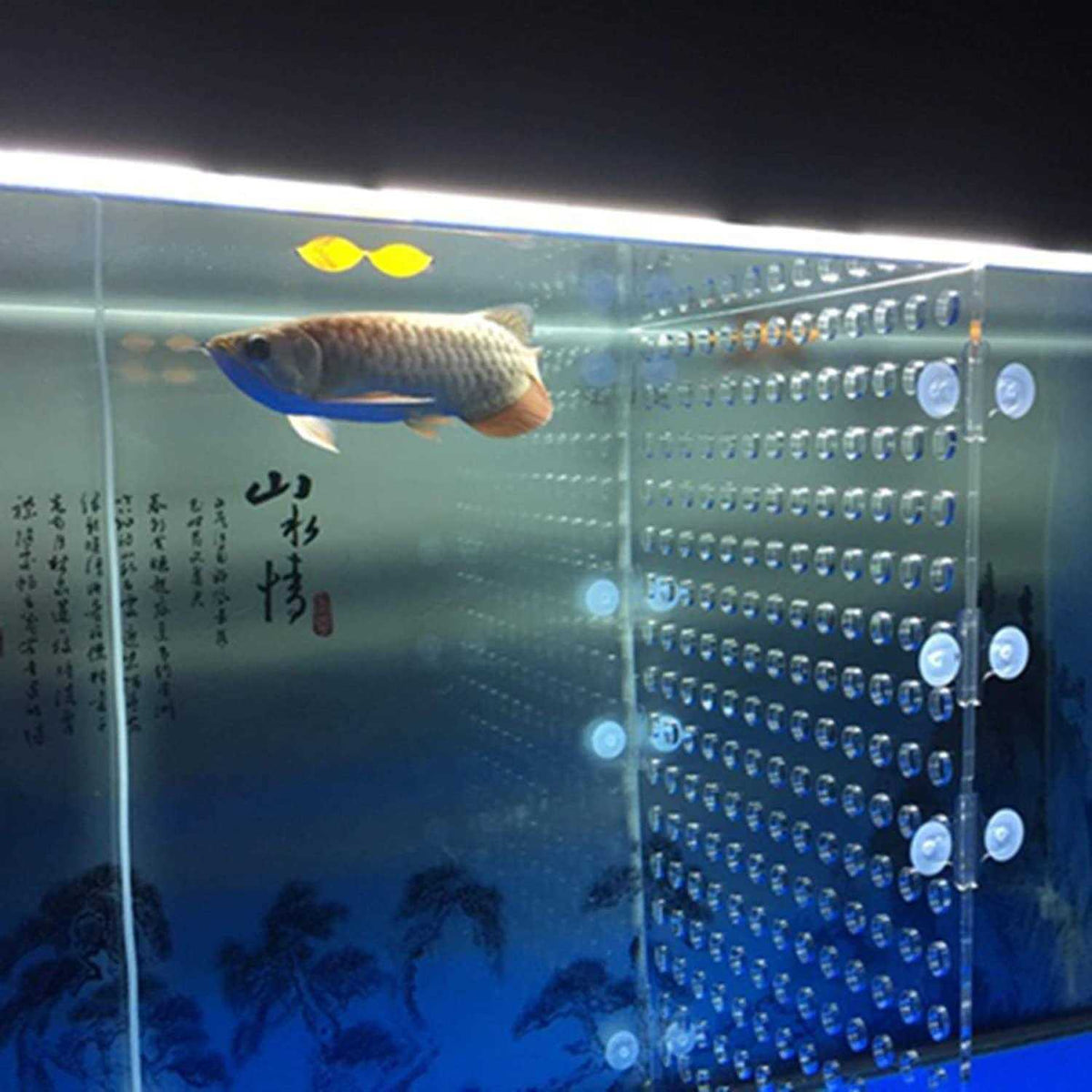 Acrylic Divider Isolation Board with Suction Cups K555437