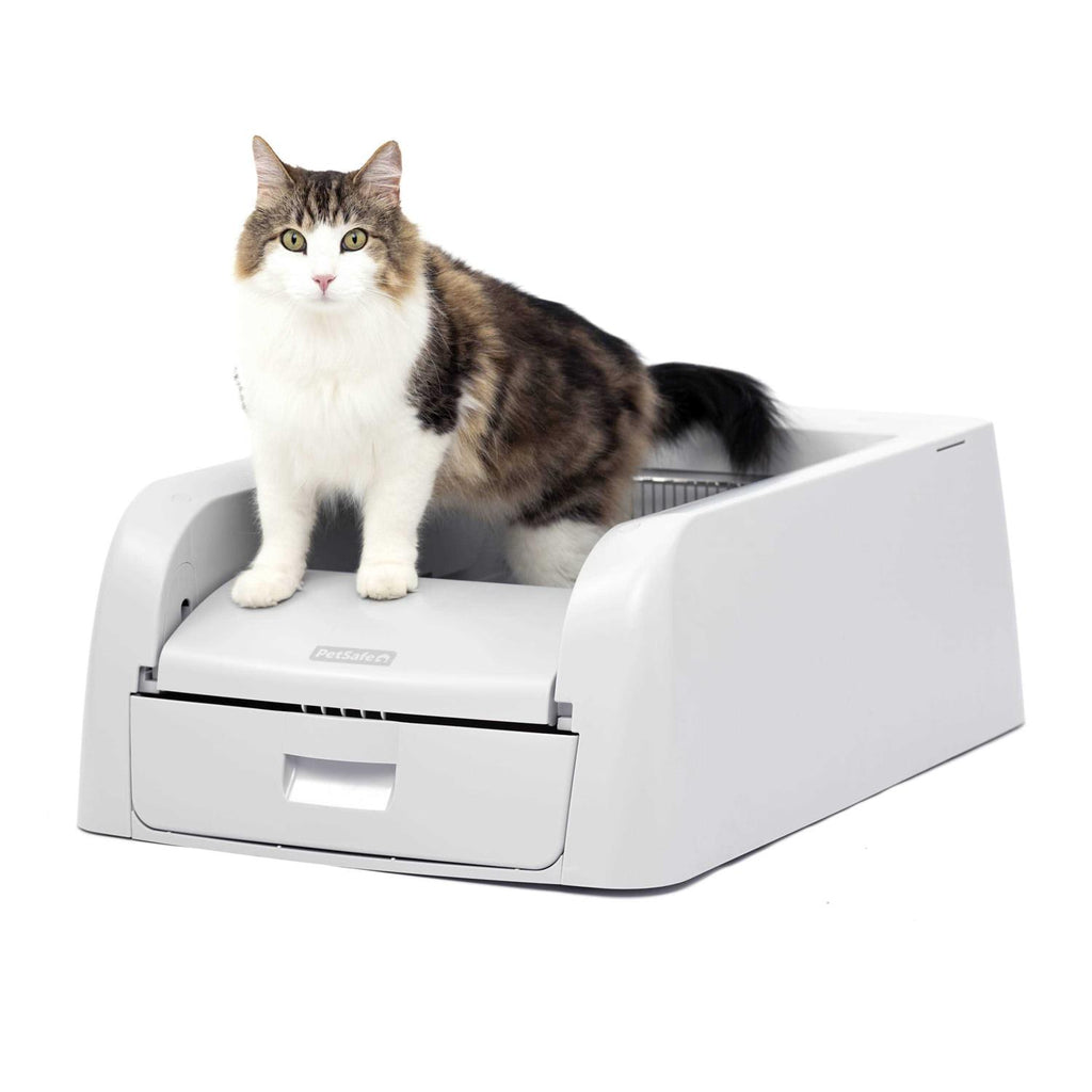 Self-Cleaning Litter Box D700