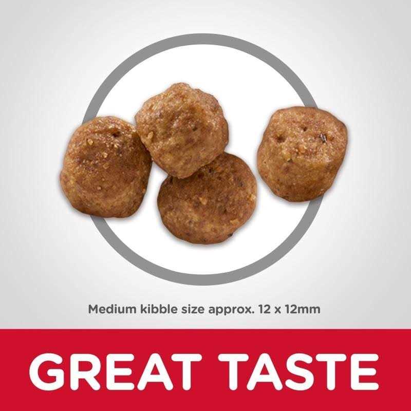 Senior 7+ Dry Dog Food Q48223