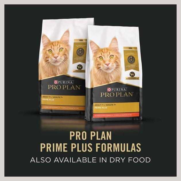 Senior Wet Cat Food B4168